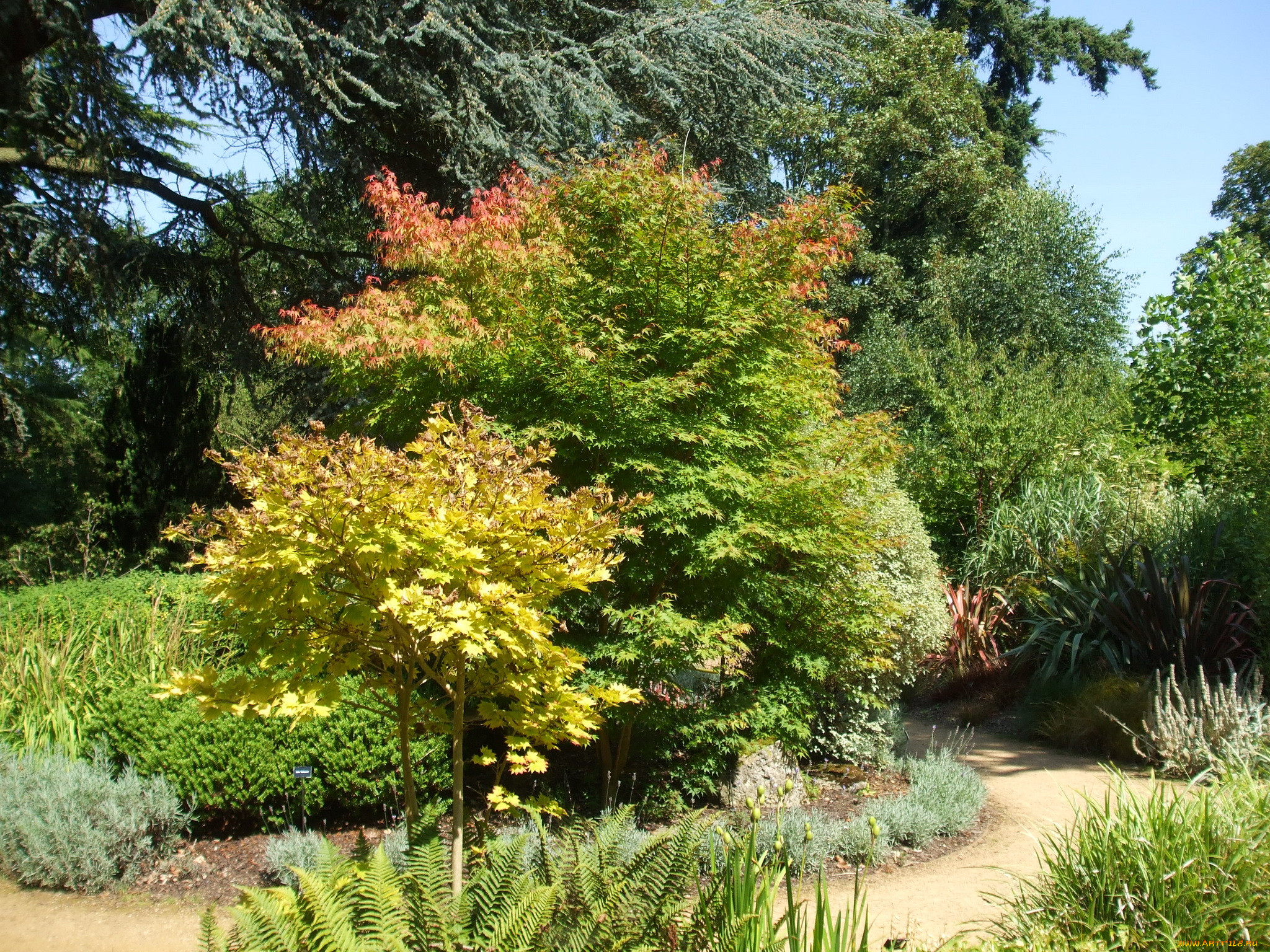 secret, garden, blenheim, palace, , , , , 